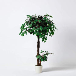 Lush Artificial Tree in White Pot - Ficus 120cm / 3ft 11" Tall with Real Wood Trunk - For Home Living Room Indoors
