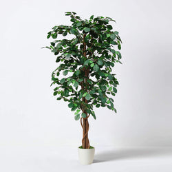 Tradala 3’11" Lush Artificial Tree in White Pot - Coin Plant 120cm / 3ft 11" Tall with Real Wood Trunk - For Home Living Room Indoors