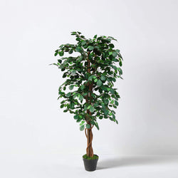 Tradala 3’11" Lush Artificial Tree Coin Plant 120cm / 3ft 11" Tall with Dense Leaves - For Home Living Room Indoors