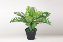 Lush Artificial Tree Plant Palm Tree 50cm / 1ft 8inch Tall with Real Wood Trunk