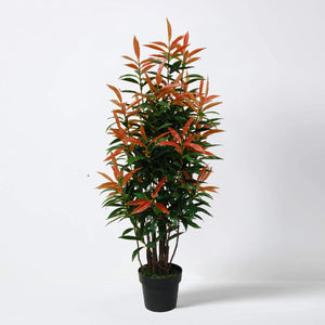 Artificial Indoor Living Room House Plant Red Robin Ficus 90cm 3ft Tall in Pot